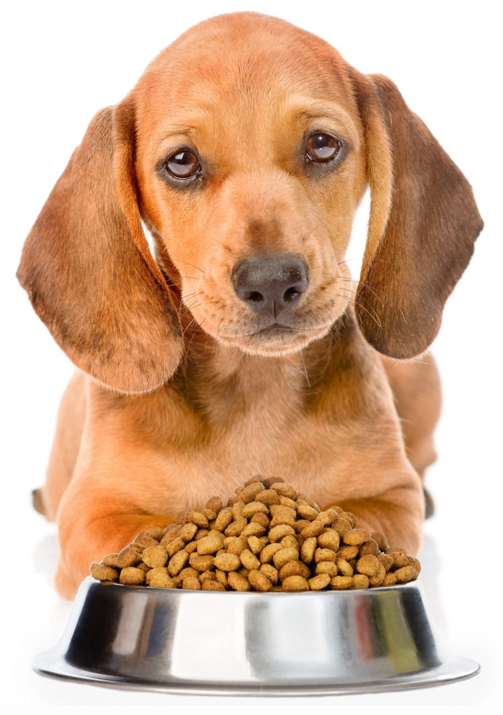 pet food benefits